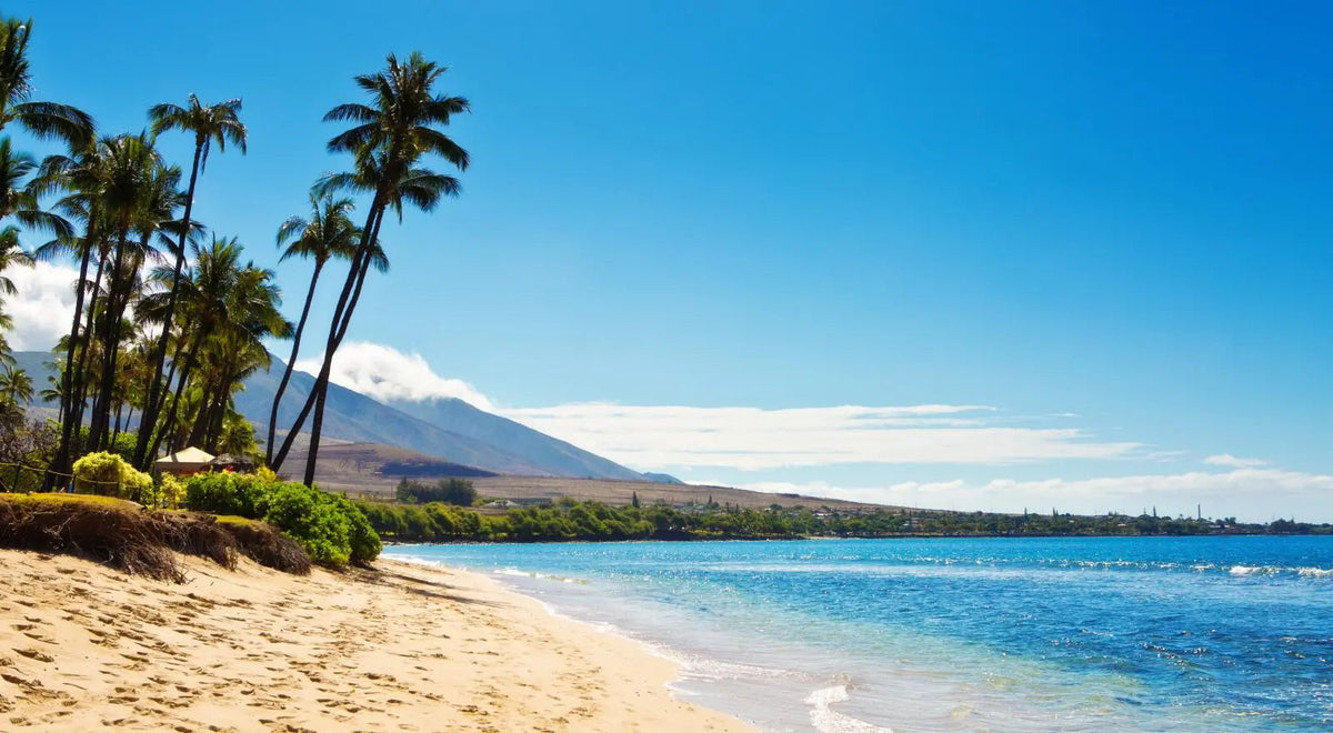 The Ultimate Maui Itinerary: 8 Days in Paradise with Customizable Options