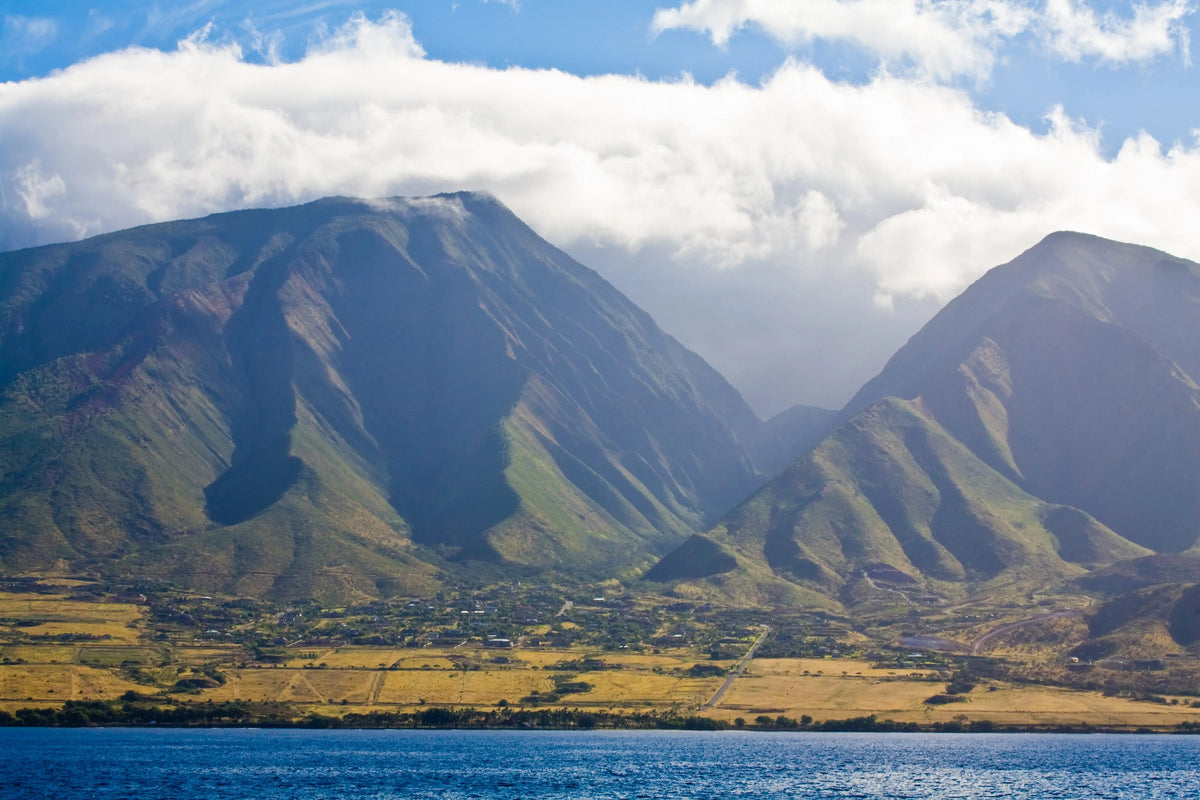 When is the Best Time to Visit Maui? A Season-by-Season Guide for Your Dream Vacation