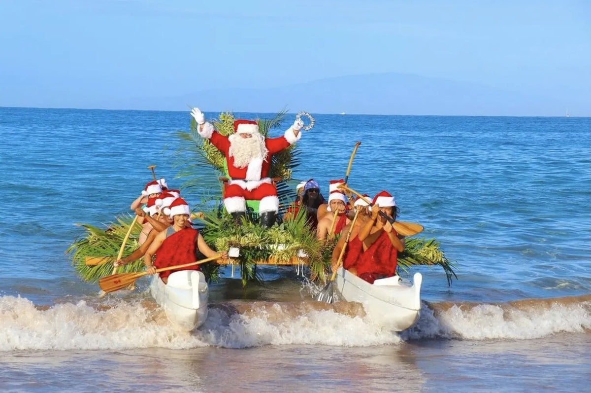 Best Things to Do on Maui in Winter (December-February)