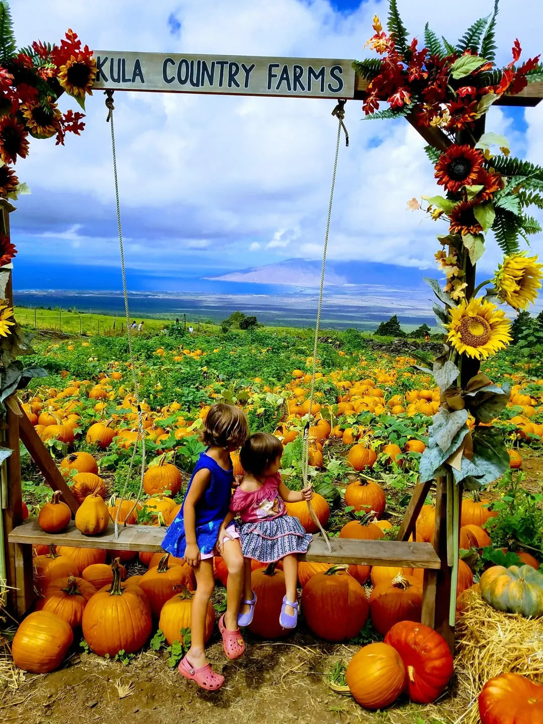 Best Things to Do on Maui in Fall (September-November)