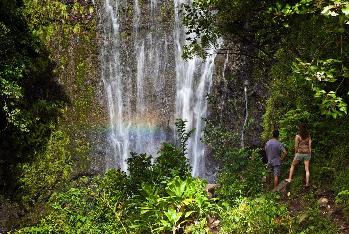 41 Best Things to Do on Maui for Every Type of Traveler