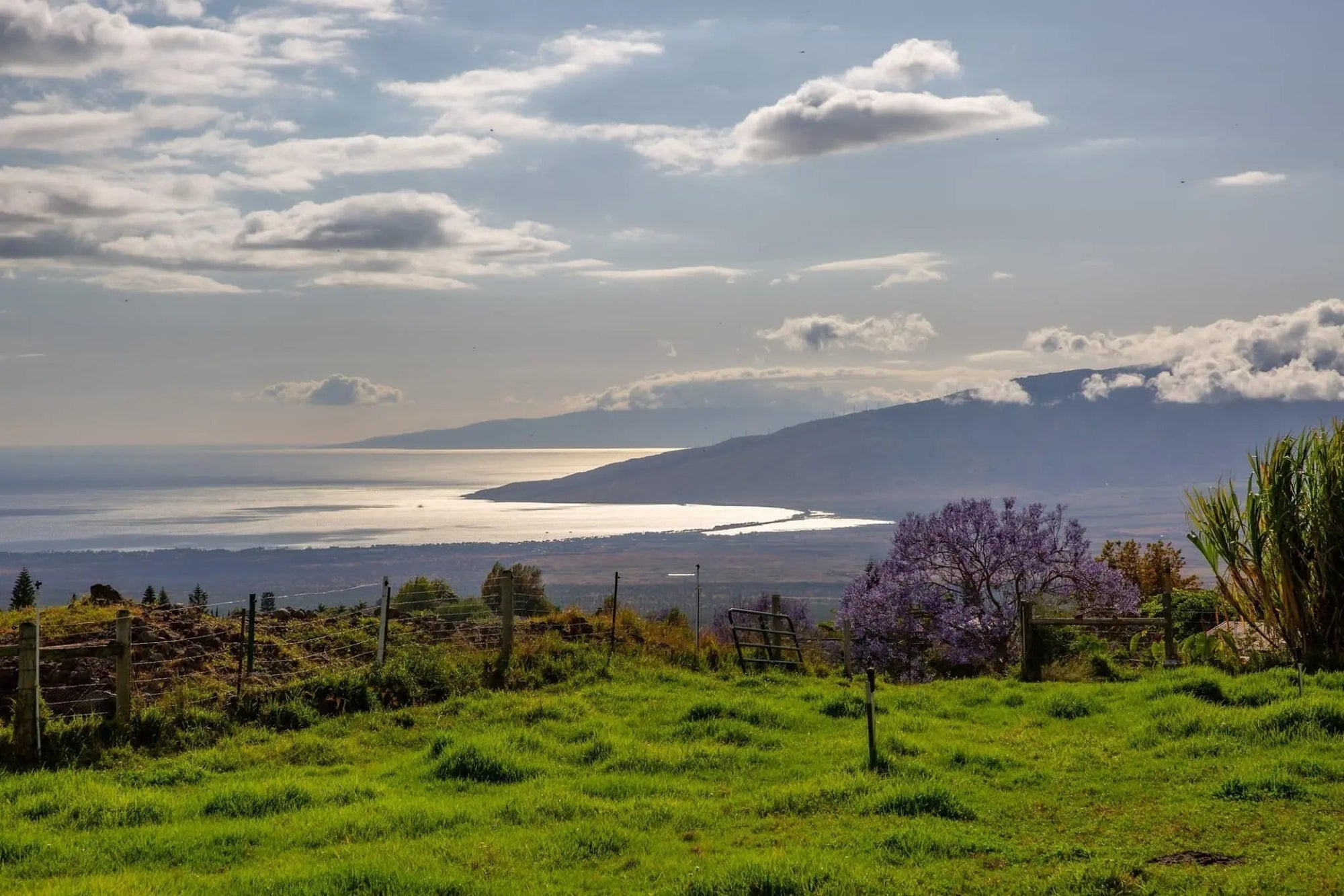 25 Best Things To Do in Upcountry Maui: A Local’s Guide (+Map)