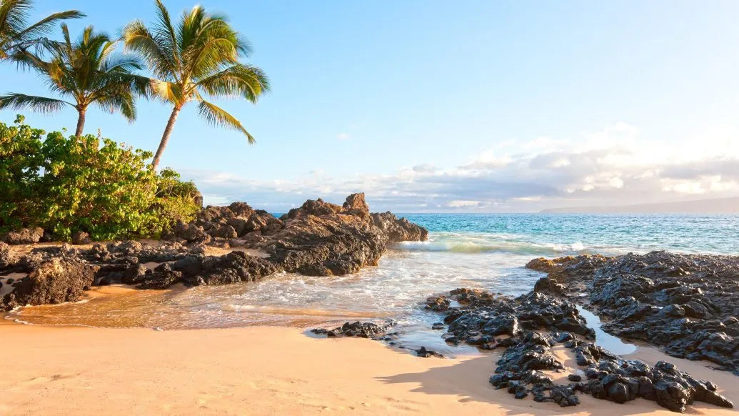 Maui Essentials: Complete Guide for First-Time Visitors (FAQs + Top Tips)