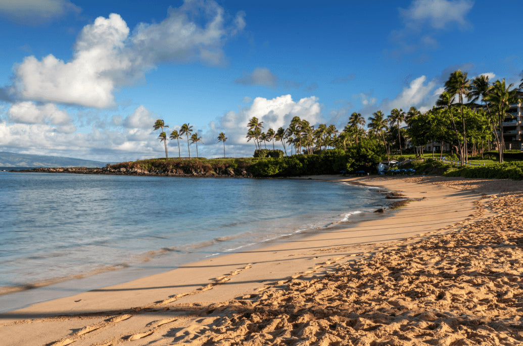 Top 10 Beaches on Maui: Your Ultimate Guide (with tips)