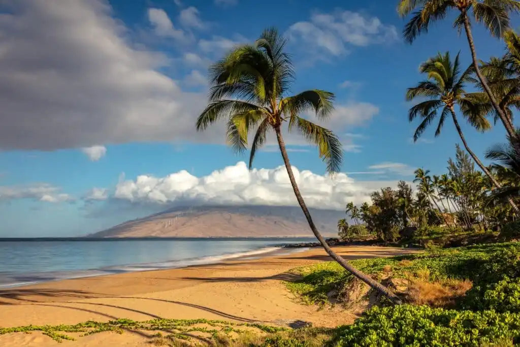Top Things to Do in Kihei, Maui: Beaches, Water Sports, and Local Gems