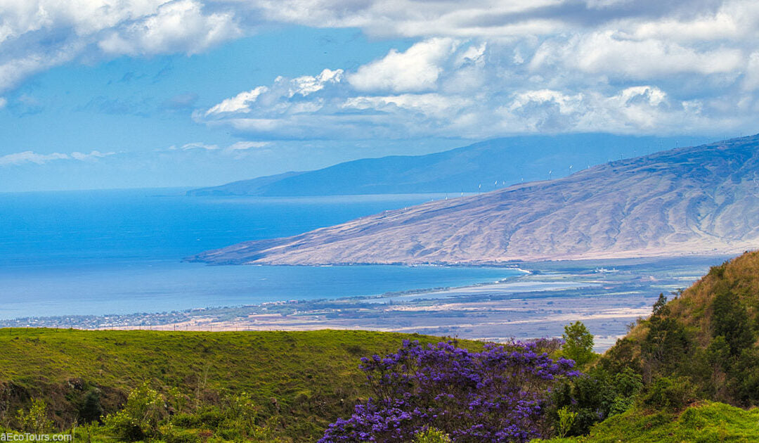 Best Things to Do on Maui in Spring (March-May)