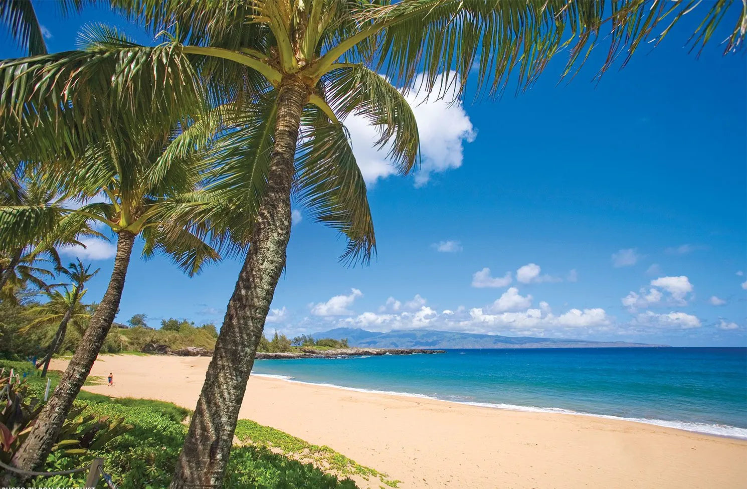 Best Things to Do on Maui in the Summer (June-August)