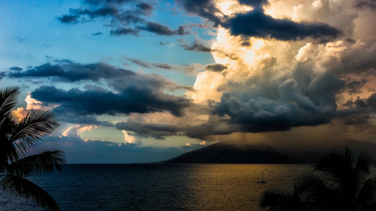 What to Do on Maui When It Rains: Fun Ideas for a Wet Day in Paradise
